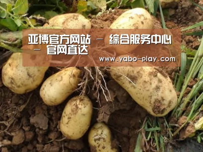 种植基地六