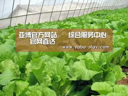 种植基地一