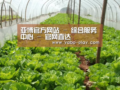 种植基地五