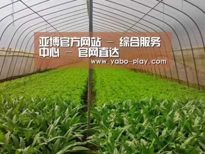 种植基地四