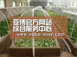 环境展示五