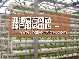 环境展示六