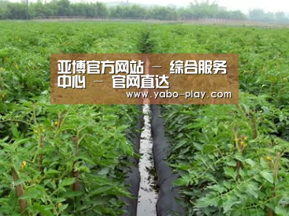 种植基地三