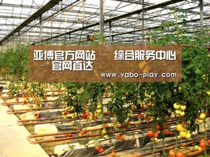 种植基地二(图1)