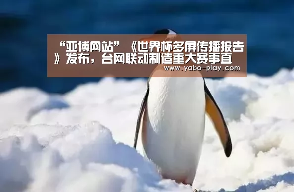“亚博网站”《世界杯多屏传播报告》发布,台网联动制造重大赛事直播新看点(图2) 亚博下载