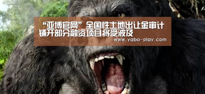 “亚博官网”全国性土地出让金审计铺开部分融资项目将受波及(图2) 亚博网站