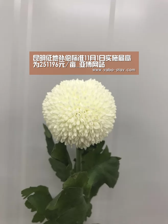 亚博下载