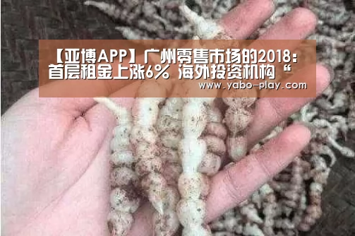 【亚博APP】广州零售市场的2018:首层租金上涨6% 海外投资机构“觊觎”广州物业(图1) 亚博网站