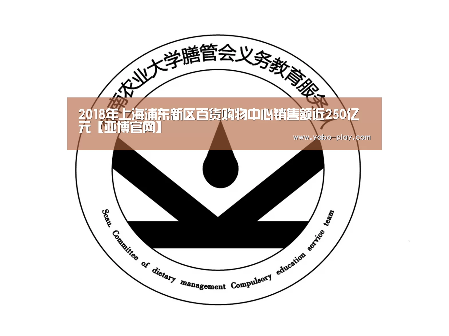 2018年上海浦东新区百货购物中心销售额近250亿元【亚博官网】(图2) 亚博网站