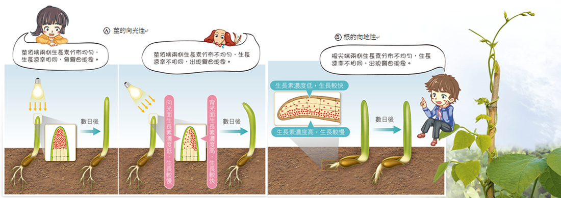 亚博网站-视频大佬们为何要抢高晓松?(图2) 亚博下载